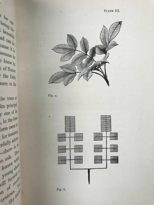 1891年 罗斯金建筑与艺术演讲集 15页插图 真皮精装32开 商品图7