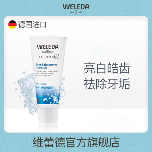 【宁波旗舰】Weleda维蕾德 海盐牙膏 美白防龋齿 75ml/盒 商品图0