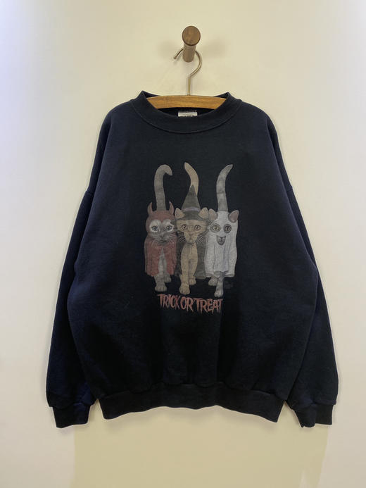 Y2K Vintage TULTEX 卫衣 _SLSS(L) 商品图1