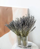 薰衣草  干花  若干枝/扎 商品缩略图2