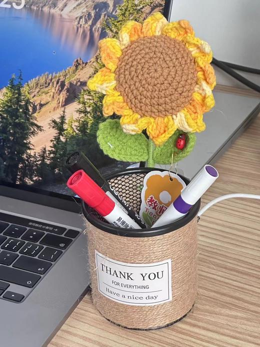 向日葵笔筒52元 商品图7