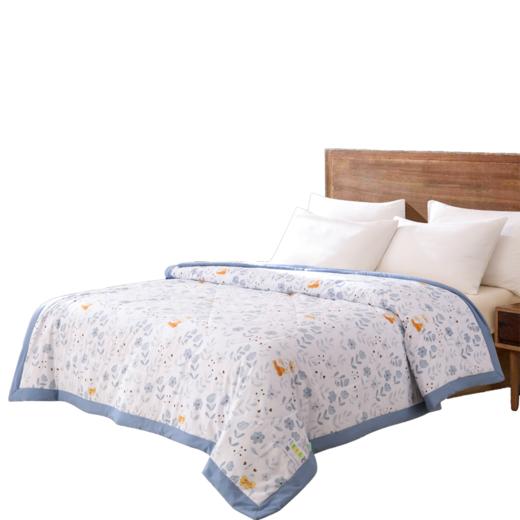 faunen芳恩宜品水洗棉被FN-B6070-1 商品图0