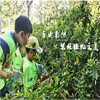 【09.06-11.03】半日亲子营：种子的旅行——《植物妈妈有办法》 商品缩略图0