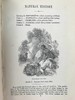 1864年 伍德自然史 480幅版画插图 全真皮精装36开 商品缩略图5