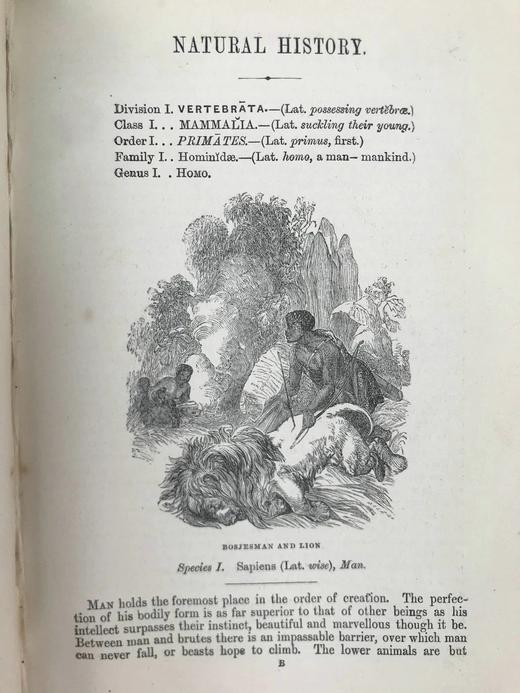 1864年 伍德自然史 480幅版画插图 全真皮精装36开 商品图5