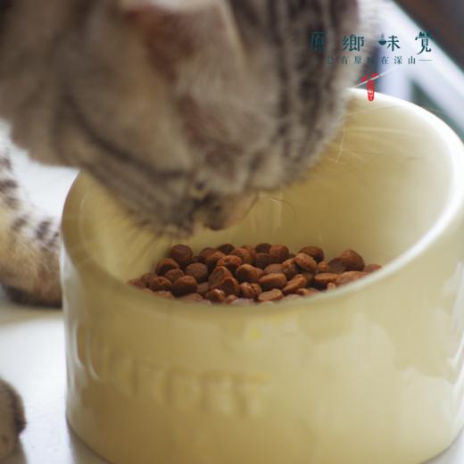 全价昆虫蛋白无谷猫粮&猫冻干&猫罐头&猫条（基地直发-京东快递）|  多种规格，来自昆虫计划，生产者：昆虫计划【合作生产，公平贸易】 商品图9