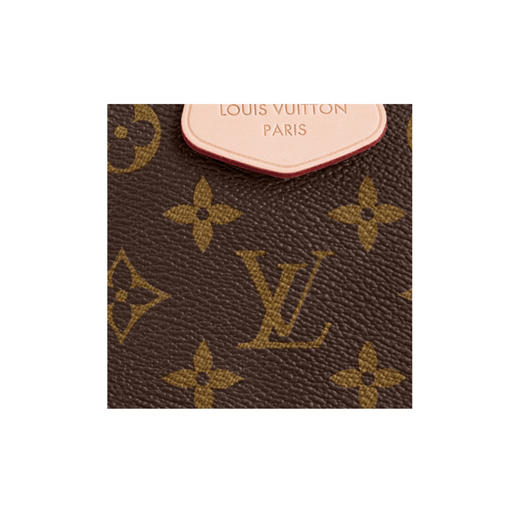 驴家Graceful MM *老花满印磁扣开合 涂层帆布拼牛皮革饰边 hobo包托特包单肩包手提包 女款 棕色（CB） 商品图4