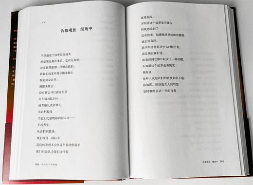 纯粹·火焰在手中燃烧   （南非）蒙加内·沃利·塞罗特/著 商品图3