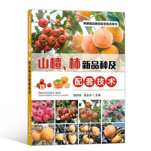 山楂柿新品种及配套技术  山楂树柿子树栽培种植书籍 山楂柿子建园规划肥水管理花果管理技术*修剪技术主要病虫害防治 山楂柿子高产种植技术 山楂柿子绿色高效栽培技术指导书【官方正版，可开发票，下单时留开票 商品图1