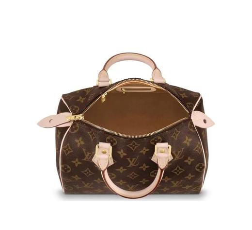 驴家   Speedy 系列 25  可拆卸可调节肩带   女款  棕色（CB） 商品图4