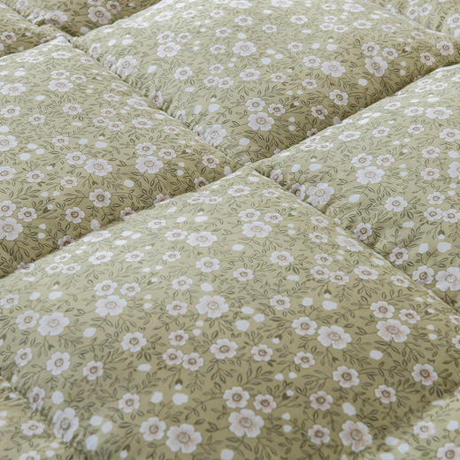 faunen芳恩鹅丝绒暖馨被FN-B6056 商品图2