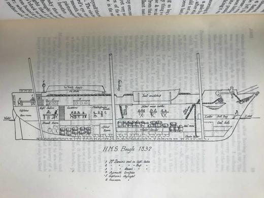 1933年 达尔文《比格尔号航海日记》 4页插图与地图 漆布精装18开 商品图6