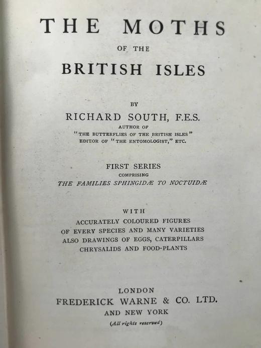 约20世纪早期 不列颠群岛蛾类图鉴（全2卷） 1543幅彩色插图与大量黑白插图 漆布精装64开 商品图3