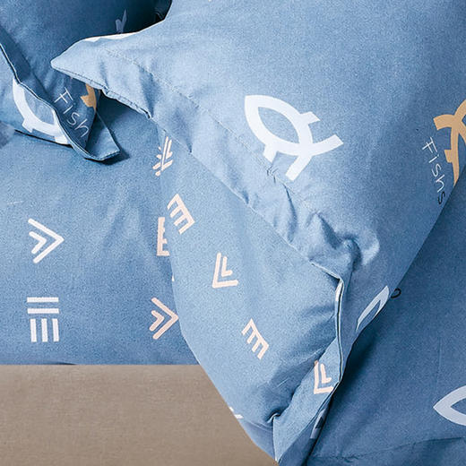 faunen芳恩长棉绒印花四件套TH-Z1018 商品图3