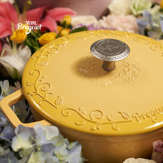 （颜色随机）宝玑Breguet琅彩系列珐琅铸铁锅　【KLJJ10.0】 商品图2