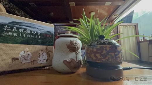 【静怡岁香丸（每罐24粒）一罐！——把森林搬回家，让您拥有香甜的美梦！】】 商品图4