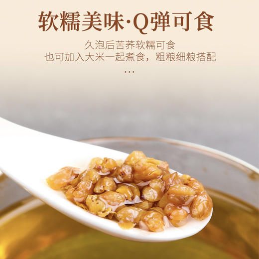 【杨芊一】苦荞茶250g/瓶 商品图2