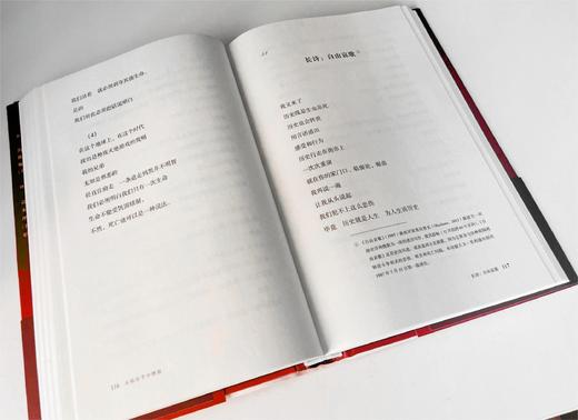 纯粹·火焰在手中燃烧   （南非）蒙加内·沃利·塞罗特/著 商品图4