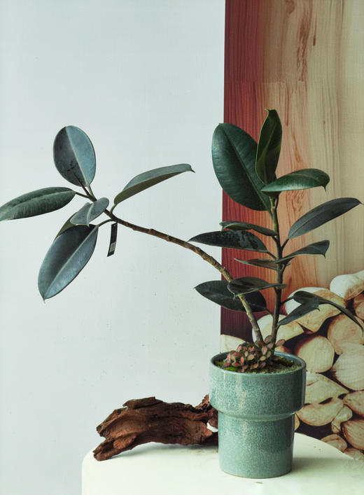 造型黑金刚 商品图0