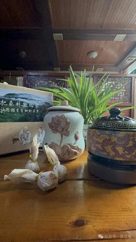 【静怡岁香丸（每罐24粒）一罐！——把森林搬回家，让您拥有香甜的美梦！】】