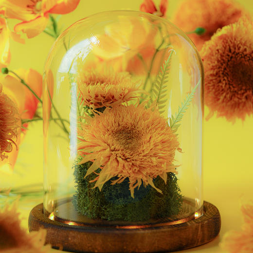 向日葵永生花相框 商品图0