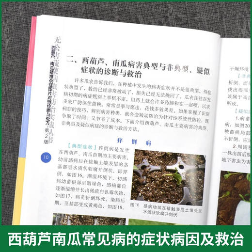 西葫芦南瓜疑难杂症图片对照诊断与* 第2版 无公害蔬菜病虫害防治实战丛书 西葫芦南瓜瓜类蔬菜病虫草害防治技术大全书 角瓜面瓜绿贝贝蔬菜种植技术书 农业园艺学农艺学 *农业出版社【官方正版，可开发票，下 商品图3