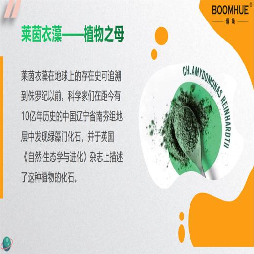 【有效期2026年3月2日】BOOMHUE莱茵衣藻小麦低聚肽复合压片糖果 商品图2