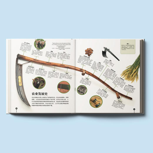 《DK时间线图解万物简史》 商品图2