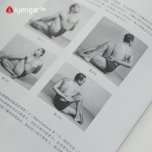 瑜伽之光/新修订第四版/瑜伽书 B1200 商品图6