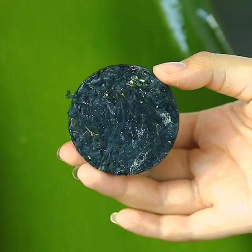 霞浦烘干压缩海带丝 圆饼独立包装 凉拌煲汤的佳品22g/一片 商品图1