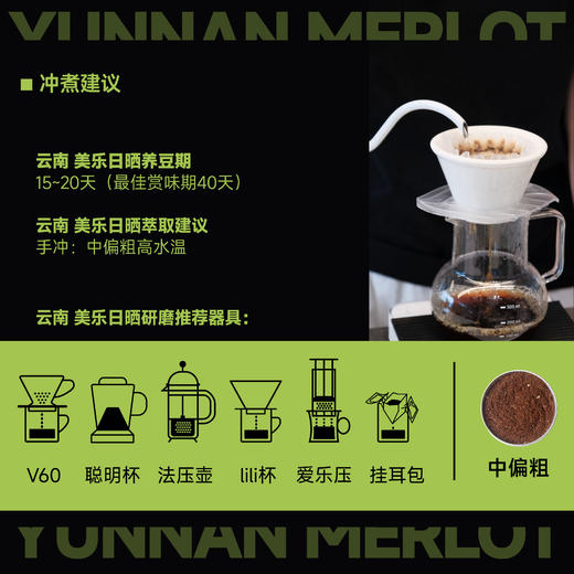 云南美乐 日晒 季节手冲咖啡豆 商品图3