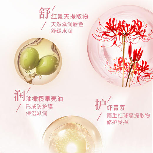 预售12.24发货 雪玉 红景天水润修护唇蜜（10g/支） 商品图3