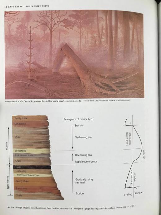 建造地球：50亿年地球史 241幅插图（128幅彩色） 精装16开 商品图5