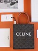 赛琳| 凯旋门老花帆布托特包（CB） 商品缩略图8