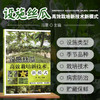 设施丝瓜高效栽培新技术、新模式【中国农业出版社官方正版，可开发票】 商品缩略图0