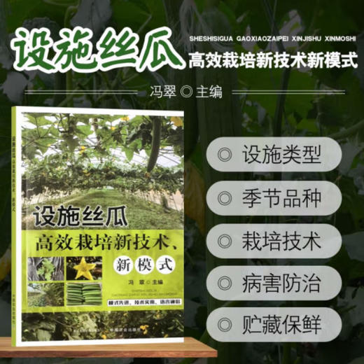 设施丝瓜高效栽培新技术、新模式【中国农业出版社官方正版，可开发票】 商品图0