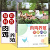 肉鸡养殖知识问答【中国农业出版社官方正版，可开票】 商品缩略图0