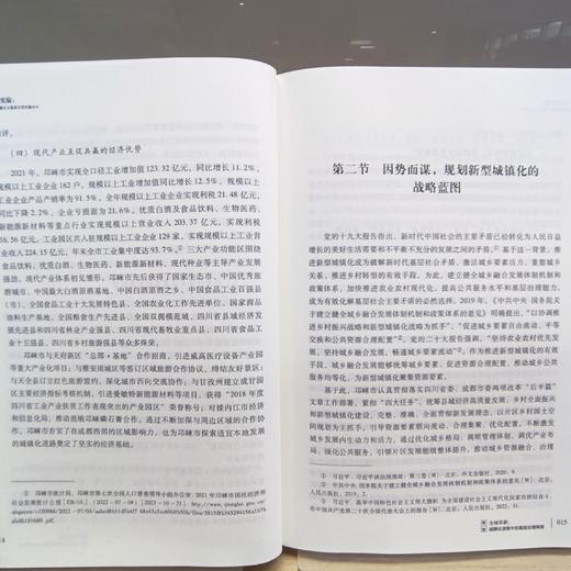 邛崃实验：新型城镇化与基层治理交融共兴 商品图3