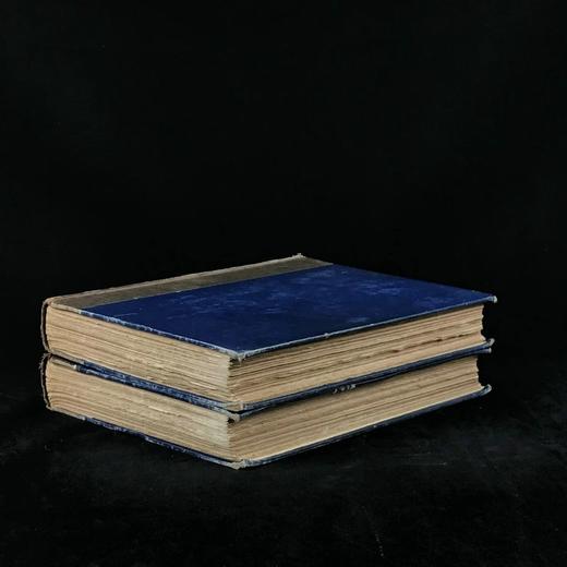 29.5*23.5cm！约20世纪早期 大不列颠与爱尔兰鸟类图鉴（全2卷） 115幅彩色插图 漆布精装大16开 商品图1