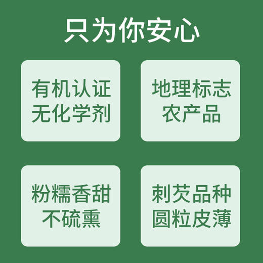 优选| 有机芡实 个大圆润 易煮易烂 香甜微糯 炖汤煲粥皆可 250g 商品图6