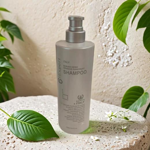 博睿雅致臻净屑洗发水 730ml/瓶 商品图0