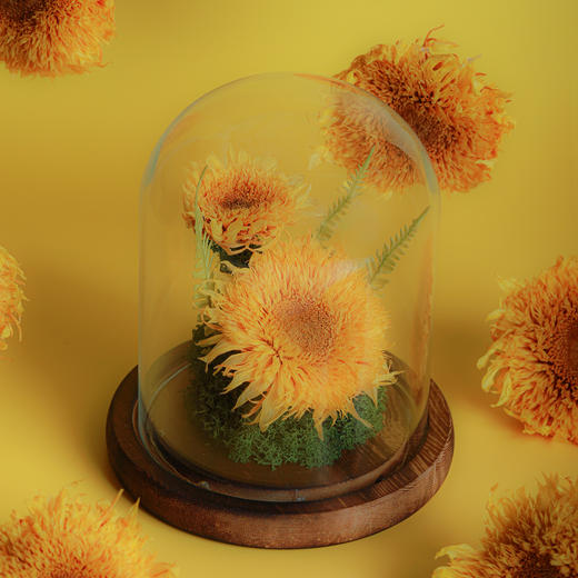 向日葵永生花相框 商品图1