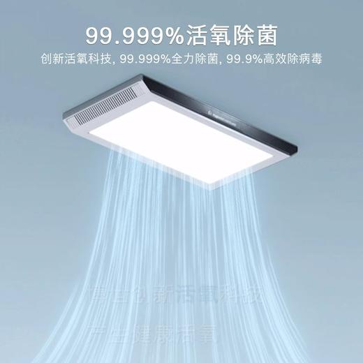 博世（BOSCH） 530升全域智净T3对开双循环活氧零度保鲜无霜冰箱 K3AT57789C冷杉灰 商品图2