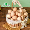崂矿农场生食无菌富硒鸡蛋40枚装 商品缩略图3
