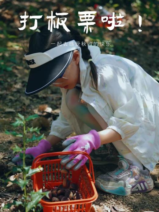 【智行研学】明州书城9月16日“美‘栗’之约”活动 商品图4