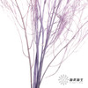 永生花材 ｜ 石草莫奈紫 商品缩略图5