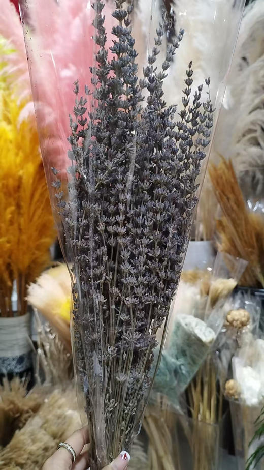 薰衣草  干花  若干枝/扎 商品图5