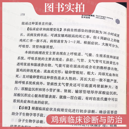 蛋鸡养殖减抗技术指南 *动物健康与食品*创新联盟,王红宁 编 畜牧/养殖*科技 *农业出版社【官方正版，可开发票，下单时留开票信息和电子邮箱】 商品图4