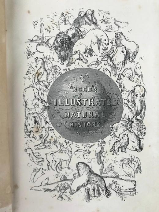 1864年 伍德自然史 480幅版画插图 全真皮精装36开 商品图3