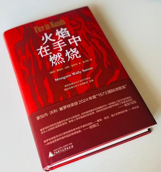 纯粹·火焰在手中燃烧   （南非）蒙加内·沃利·塞罗特/著 商品图1